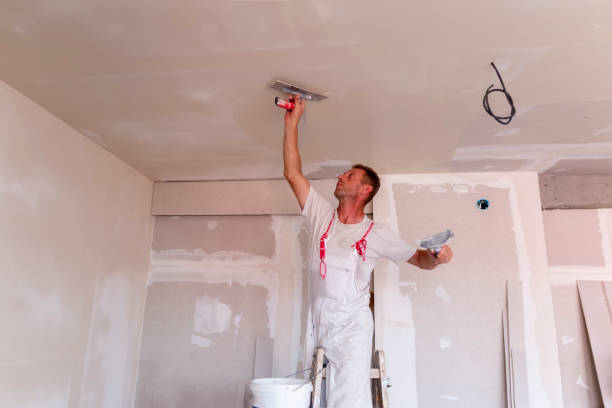 Best Drywall for Remodeling  in Lake Sarasota, FL